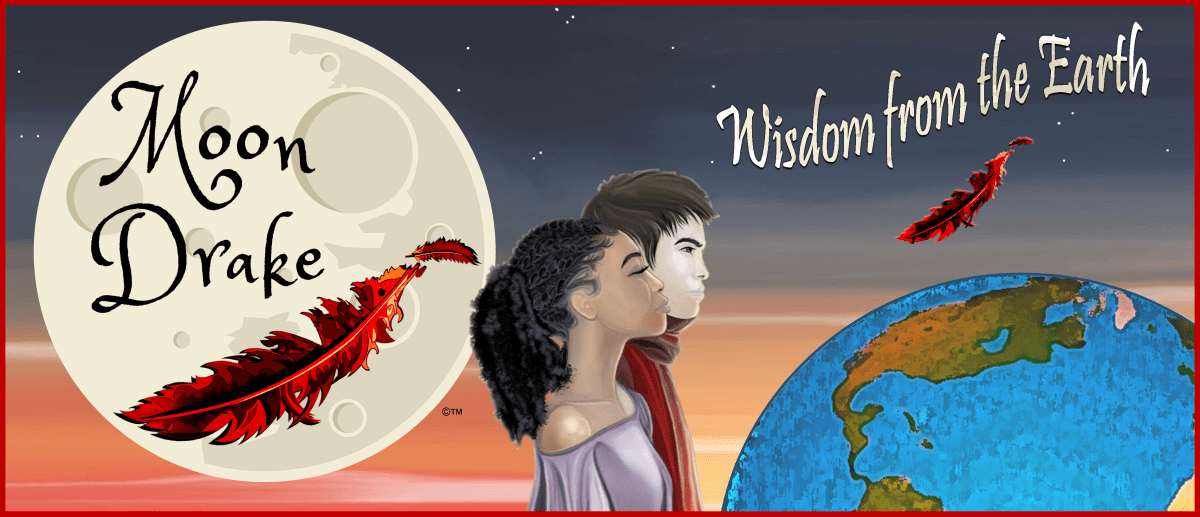 Meet our Main Characters for Seasons&nbsp;1!